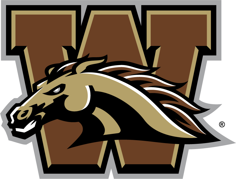 Western Michigan Broncos 2016-2021 Primary Logo t shirts iron on transfers